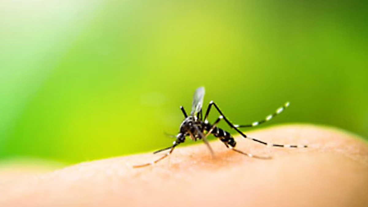 La Vacuna Tak-003 y el Futuro del Control del Dengue en Panamá